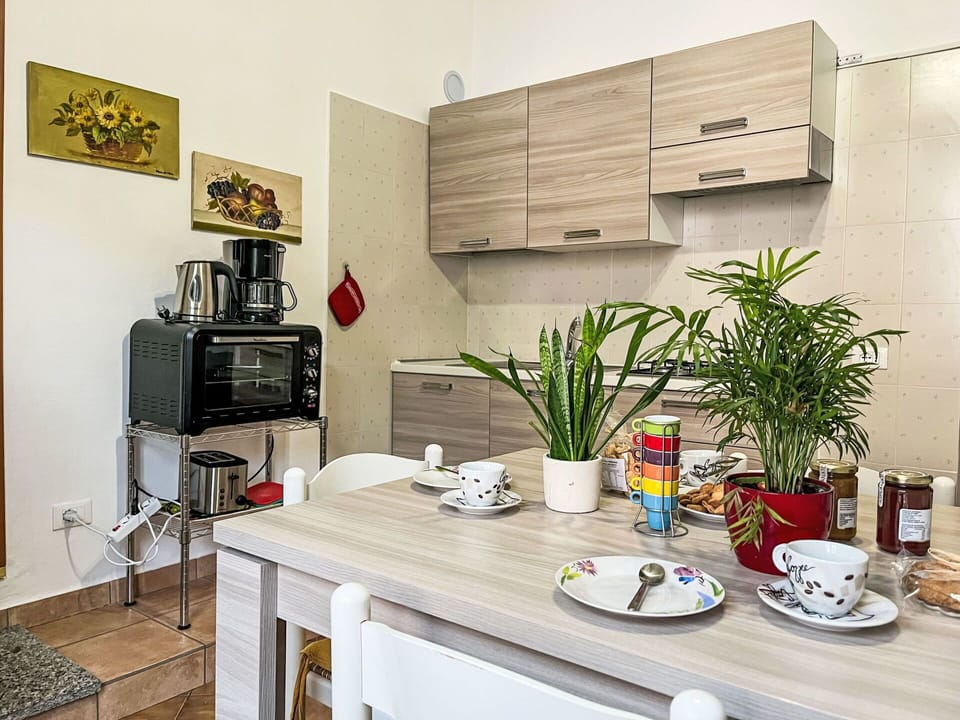 Property, Plant, Cabinetry, Table, Building, Flowerpot, Interior Design, Kitchen, Tableware, Houseplant