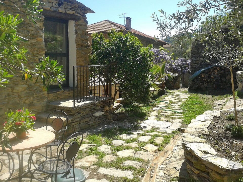 Property, House, Yard, Building, Garden, Real Estate, Botany, Courtyard, Tree, Backyard