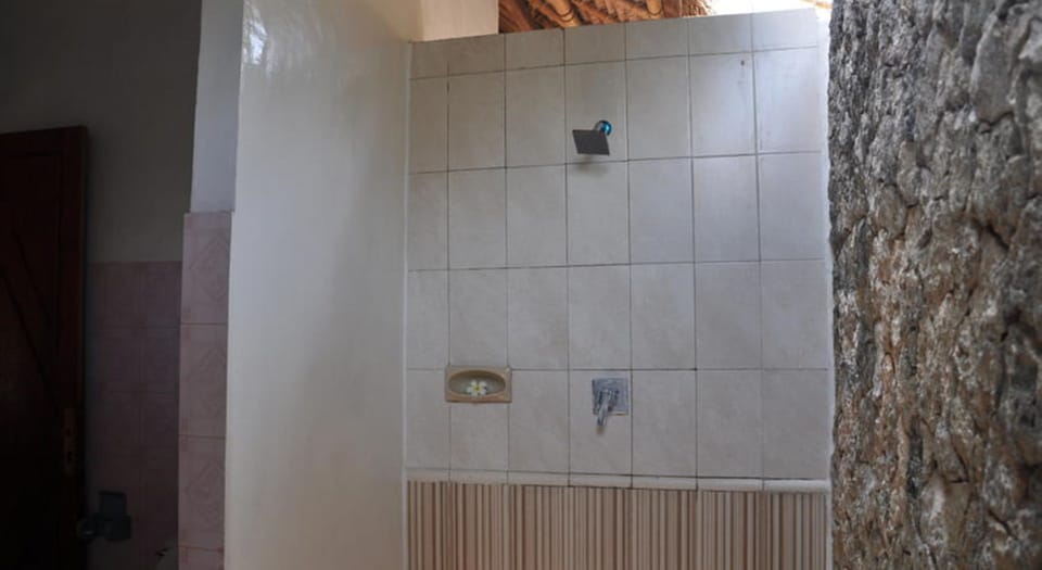 Shower, towels
