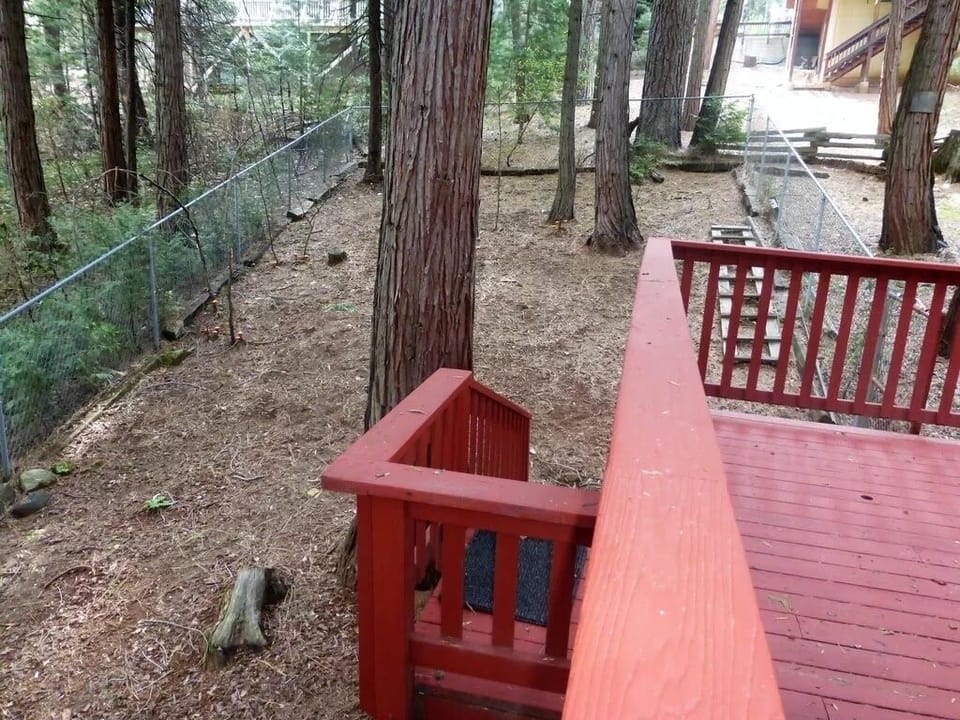 Ramp into dog run