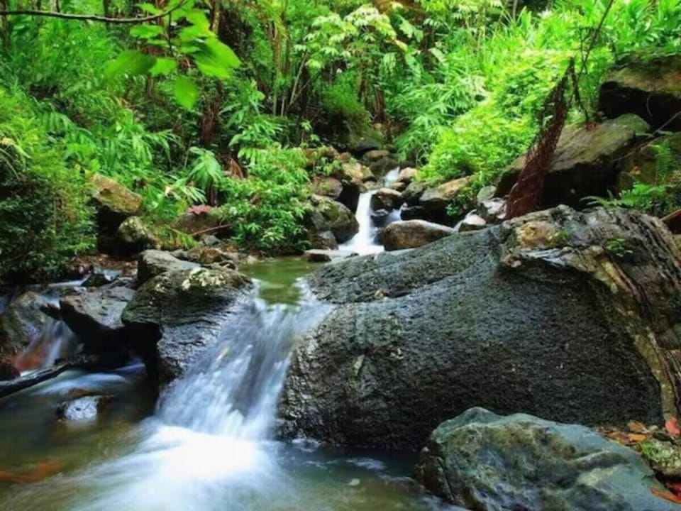 El Yunque Rainforest