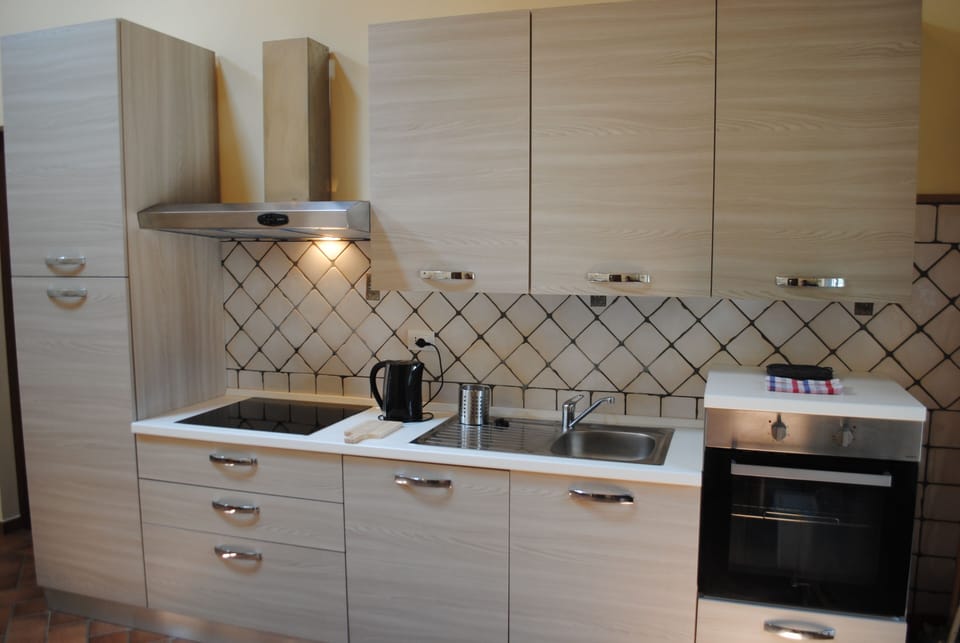 Basic Apartment | Private kitchenette | Full-size fridge, microwave, stovetop, dishwasher