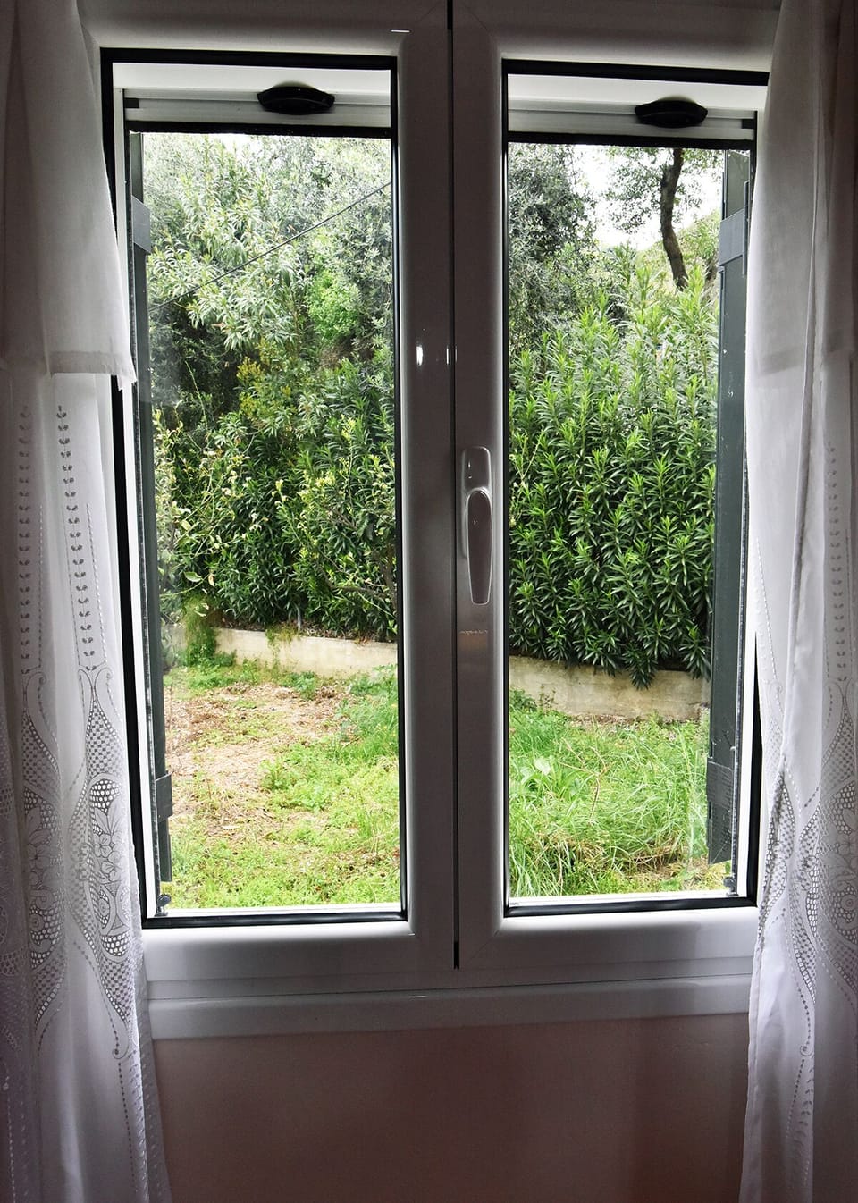 House | View from room