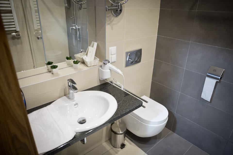 Hair dryer, towels, soap, shampoo