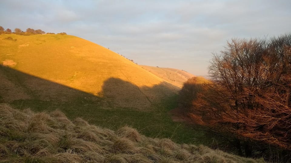 Downs in Autumn