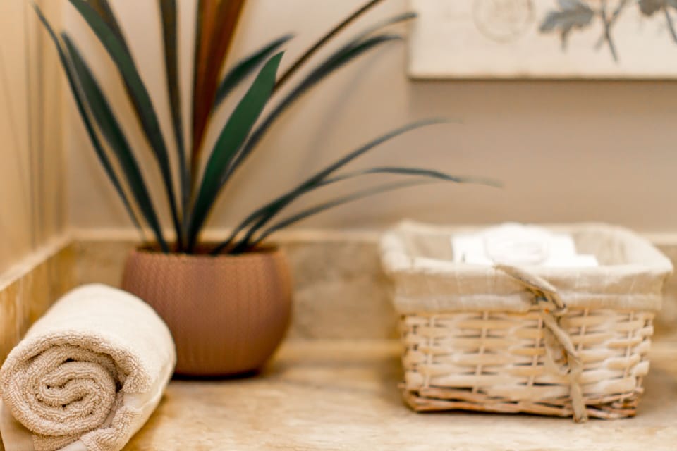 Traditional Double or Twin Room (Suite Bege) | Bathroom amenities | Shower, free toiletries, hair dryer, bathrobes