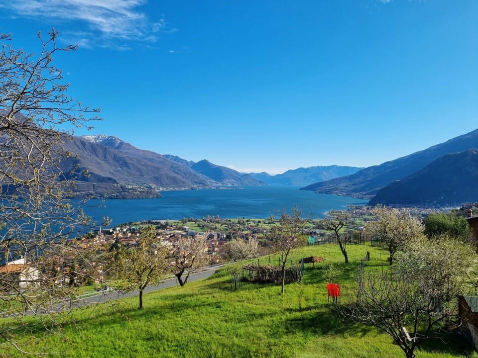 Sky, Water, Cloud, Plant, Mountain, Ecoregion, Natural Landscape, Nature, Leaf, Natural Environment