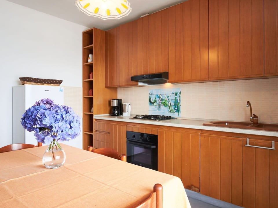 Cabinetry, Kitchen Sink, Property, Countertop, Furniture, Sink, Building, Tap, Wood, Flower