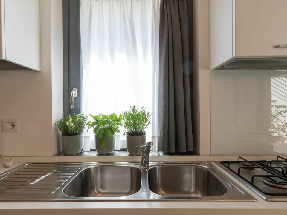 Tap, Kitchen Sink, Sink, Property, Plumbing Fixture, Plant, Countertop, Window, Curtain, Wood