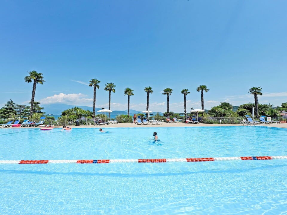 Water, Sky, Swimming Pool, Tree, Coastal And Oceanic Landforms, Outdoor Recreation, Leisure, Arecales, Recreation, Palm Tree