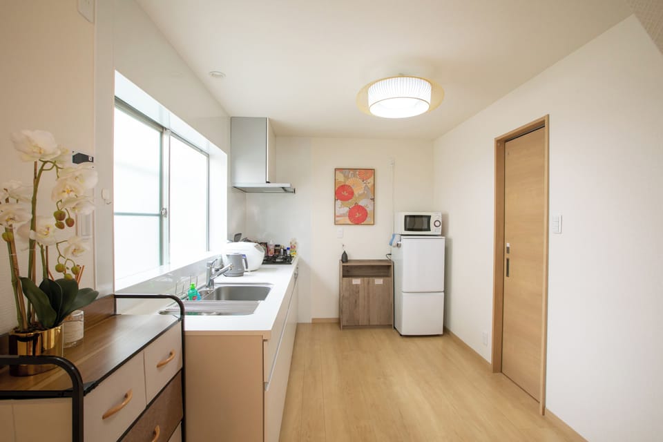 Fridge, microwave, stovetop, electric kettle
