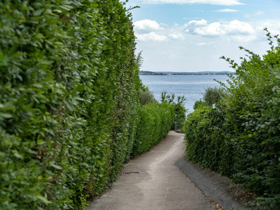 Cloud, Sky, Plant, Water, Natural Landscape, Hedge, Grass, Evergreen, Tree, Road Surface