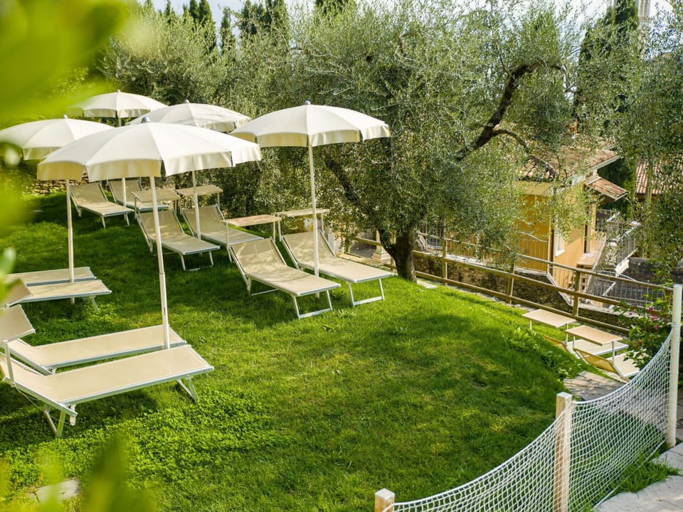 Plant, Botany, Shade, Natural Landscape, Land Lot, Vegetation, Tree, Biome, Outdoor Furniture, Leisure