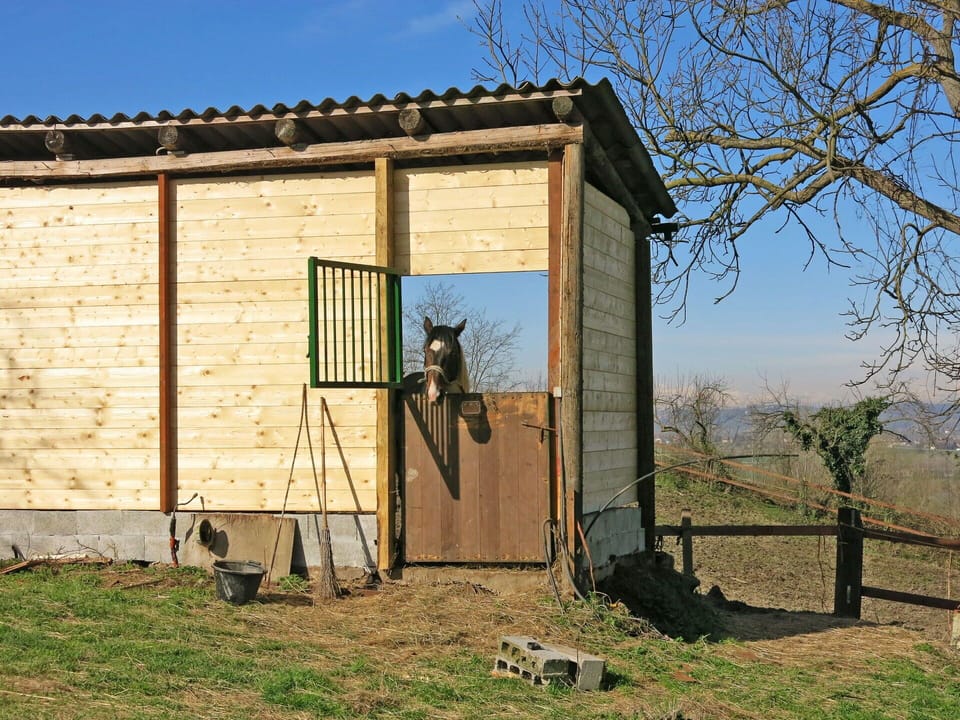 Shed, Outhouse, House, Rural Area, Tree, Building, Shack, Grass, Garden Buildings, Wood