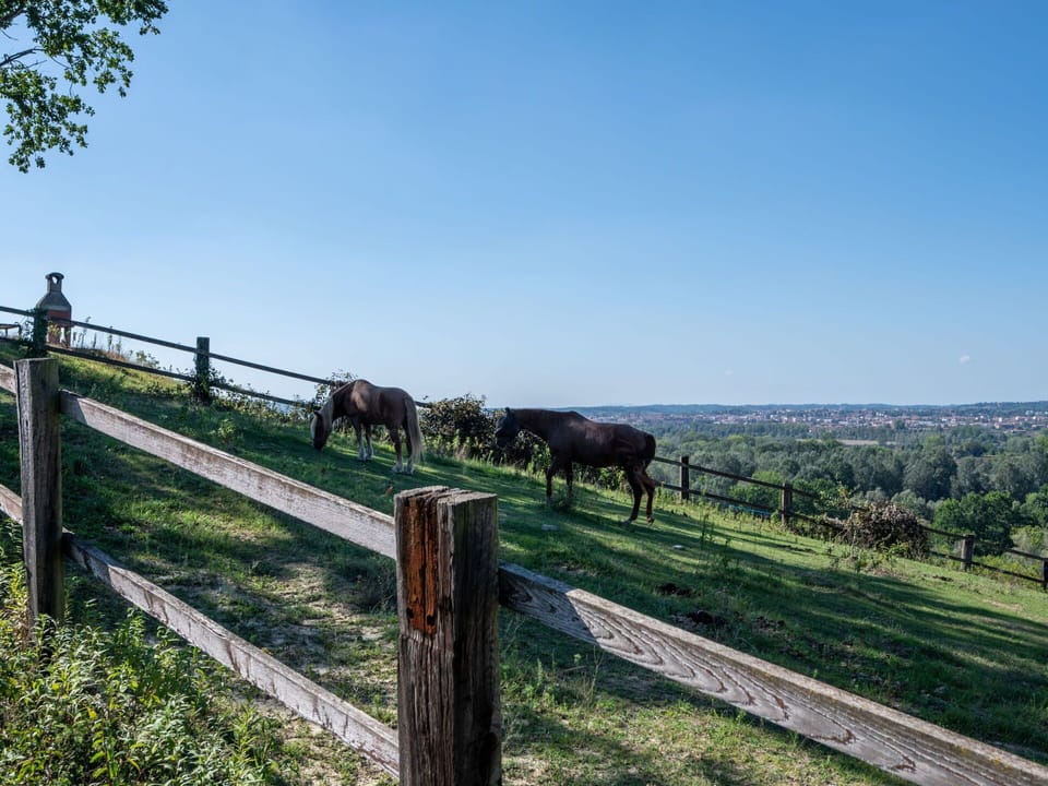Sky, Plant, Fence, Natural Landscape, Grass, Tree, Grassland, Landscape