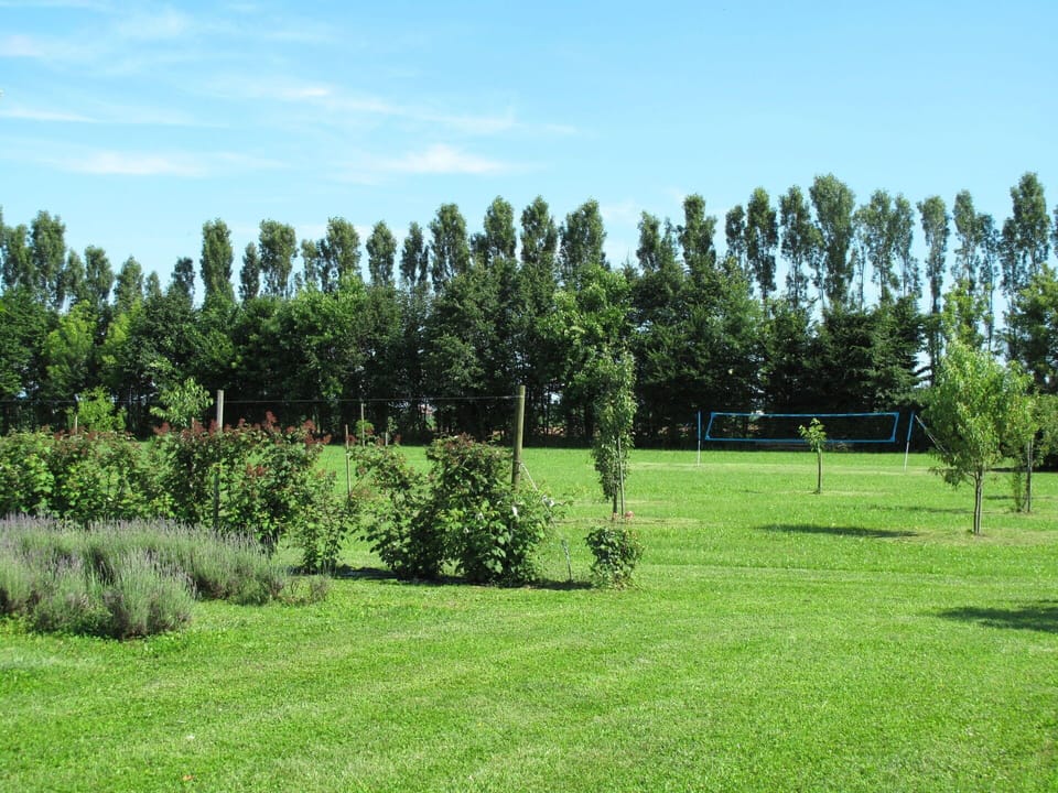 Plant, Sky, Cloud, Tree, Natural Landscape, Land Lot, Grass, Grassland, Plain, Groundcover