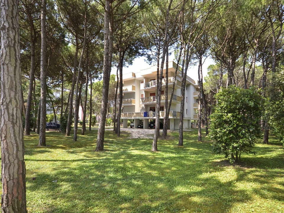 Property, Tree, House, Grass, Estate, Building, Real Estate, Architecture, Woody Plant, Home