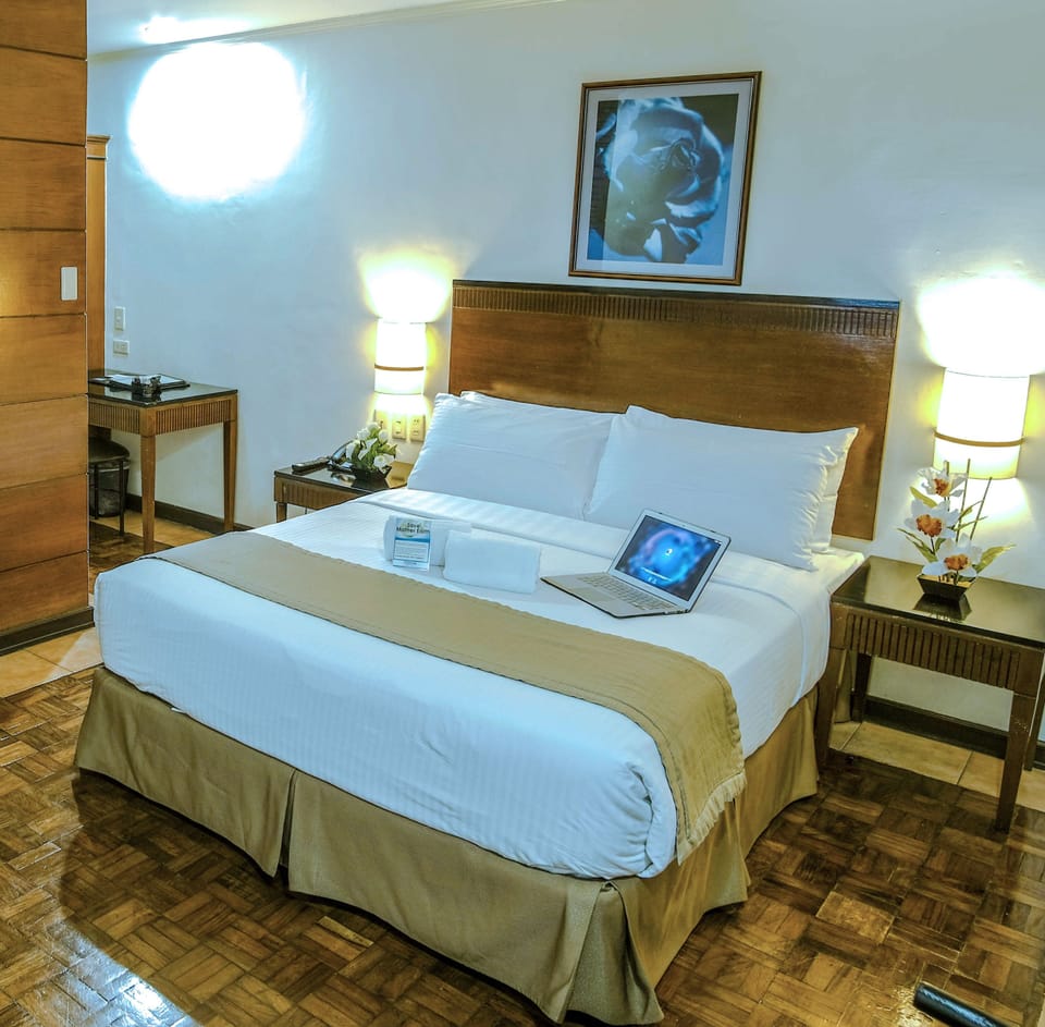 Premium De Luxe  | Minibar, desk, rollaway beds, free WiFi