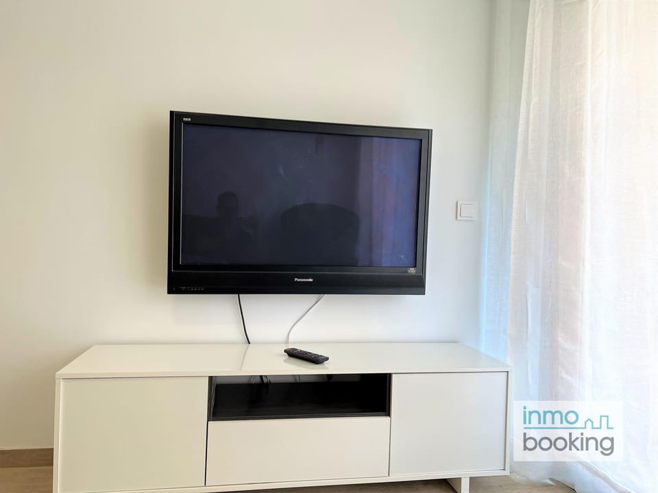 Television