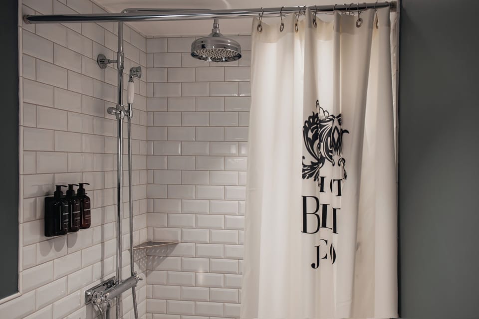 Cabin (Compact, Without window) | Bathroom | Shower, free toiletries, hair dryer