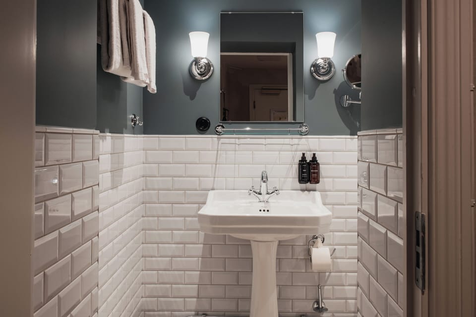 Cabin (Compact, Without window) | Bathroom | Shower, free toiletries, hair dryer