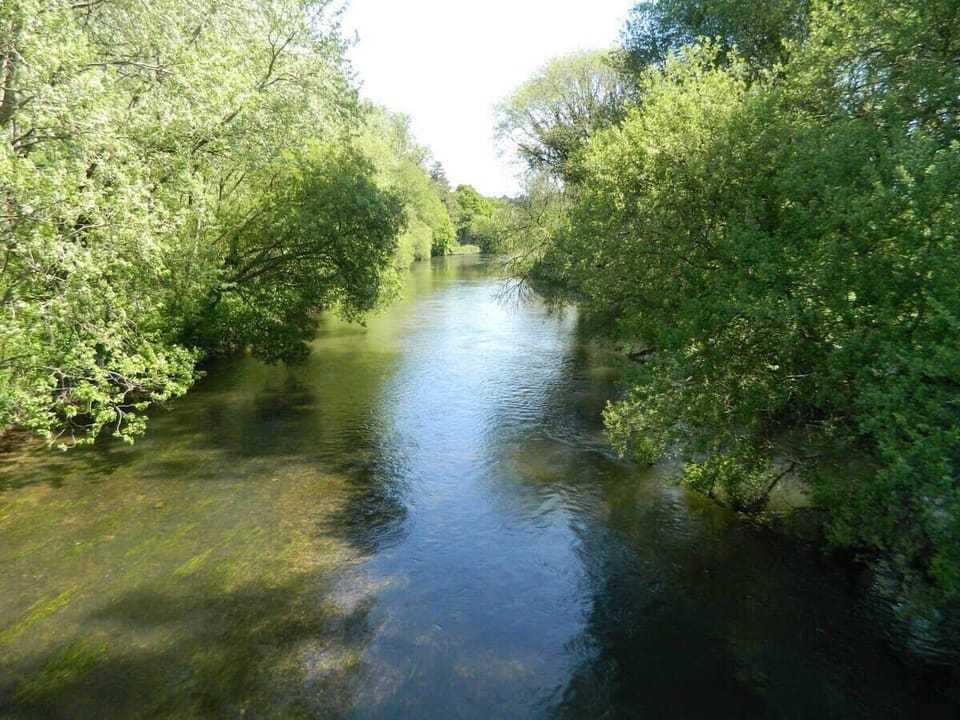 River Frome ( 50 metres from River Cottage ) 