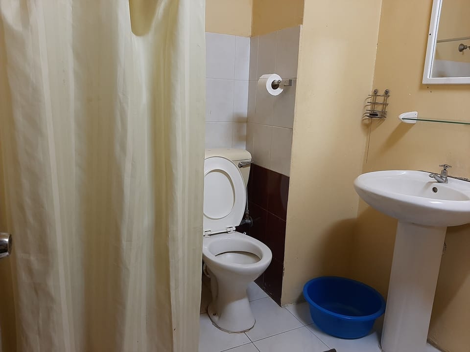 Shower, towels, toilet paper