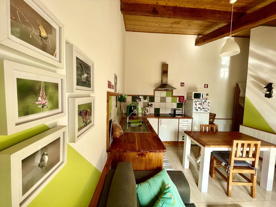 Kitchen and living area.