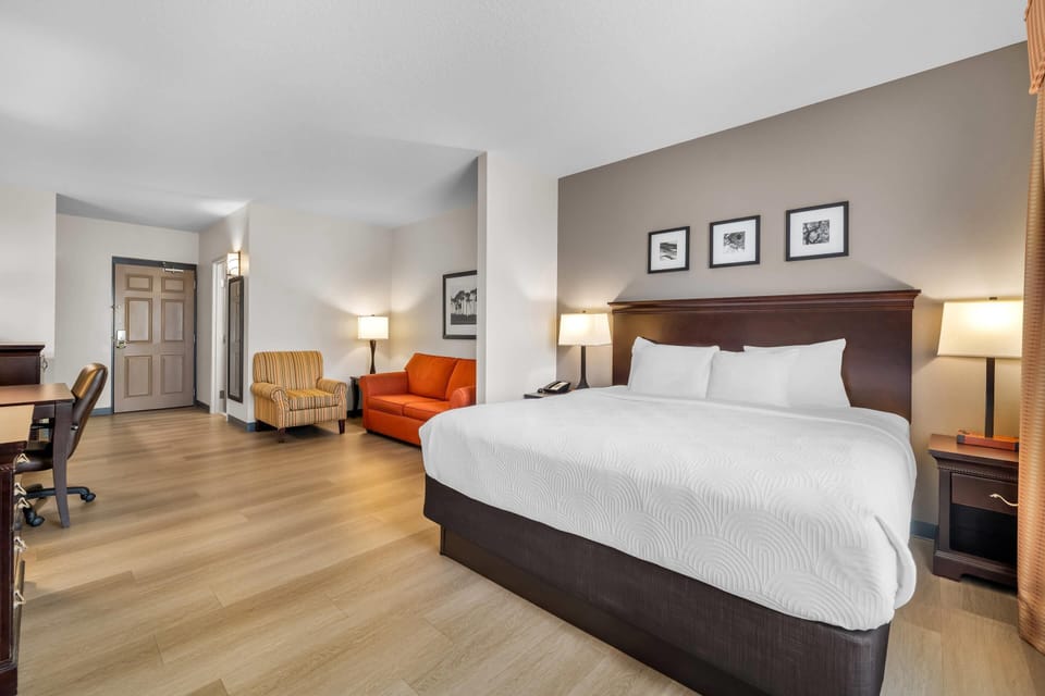 Studio Suite, 1 King Bed with Sofa bed, Non Smoking | Hypo-allergenic bedding, in-room safe, desk, blackout drapes