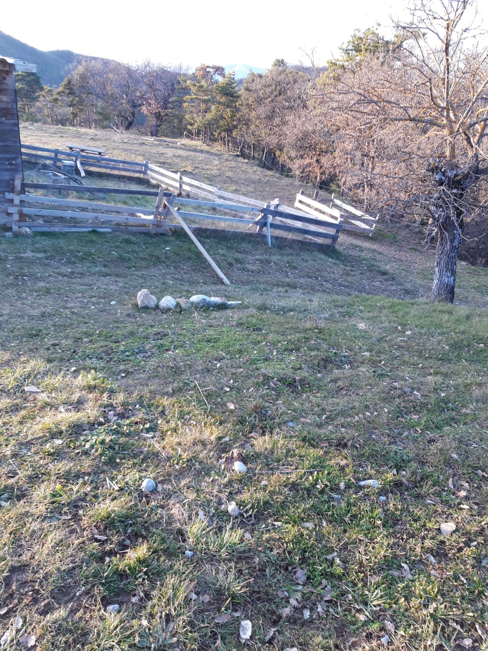 Property grounds