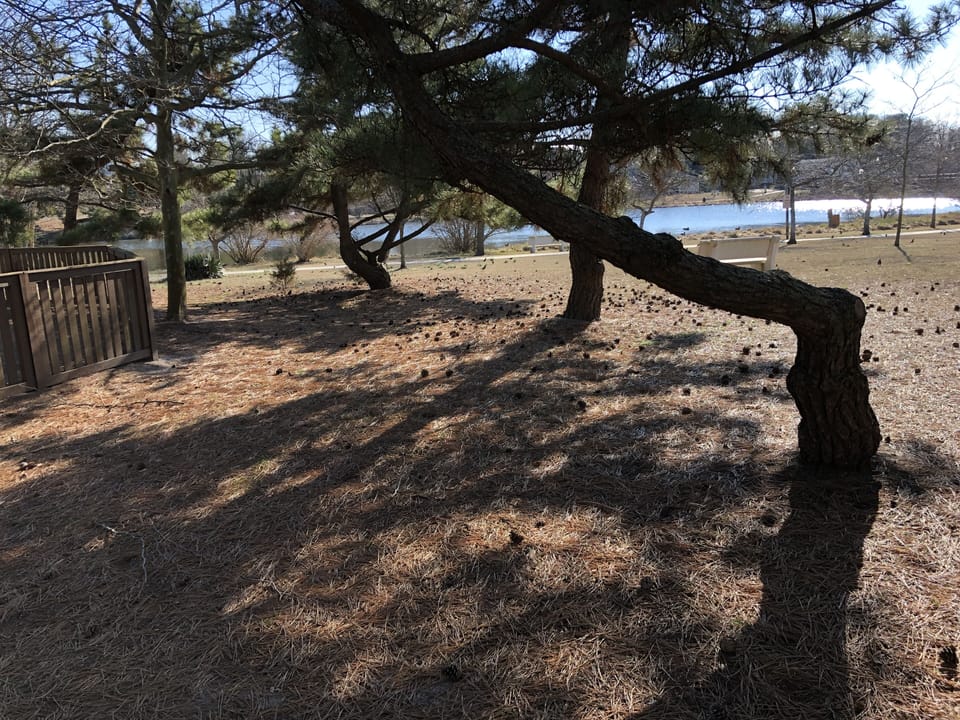 Small public green space nearby
