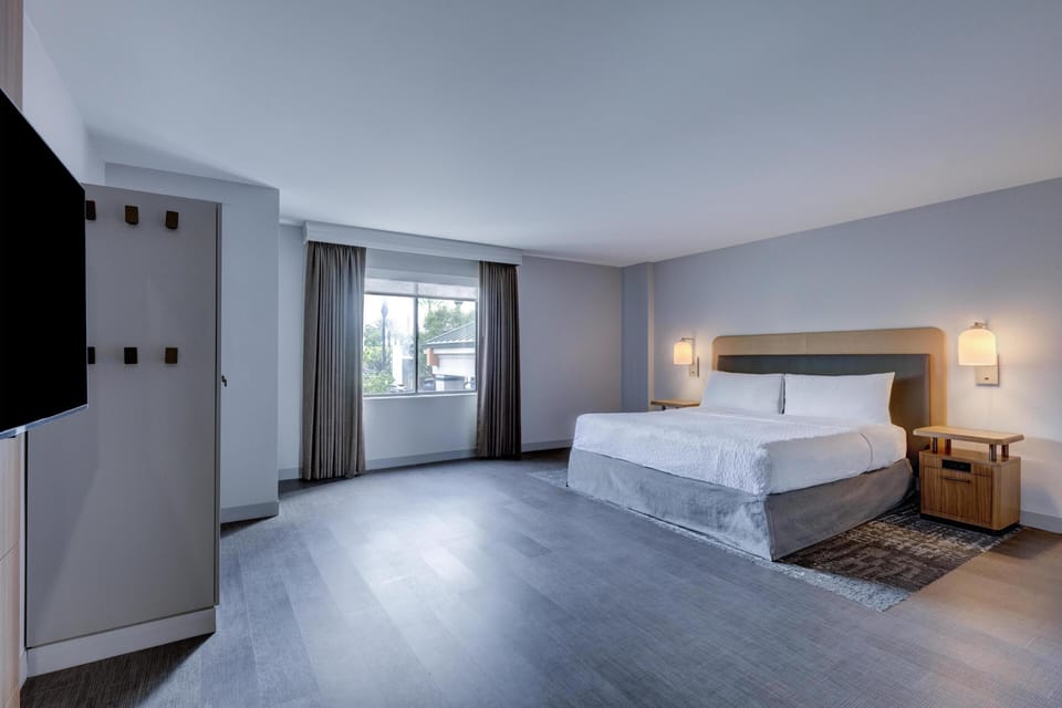 Room, Accessible, Non Smoking (Roll-in Shower) | Individually furnished, desk, laptop workspace, iron/ironing board