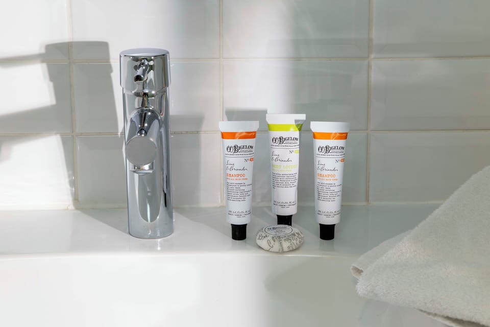 Shower, free toiletries, hair dryer, slippers