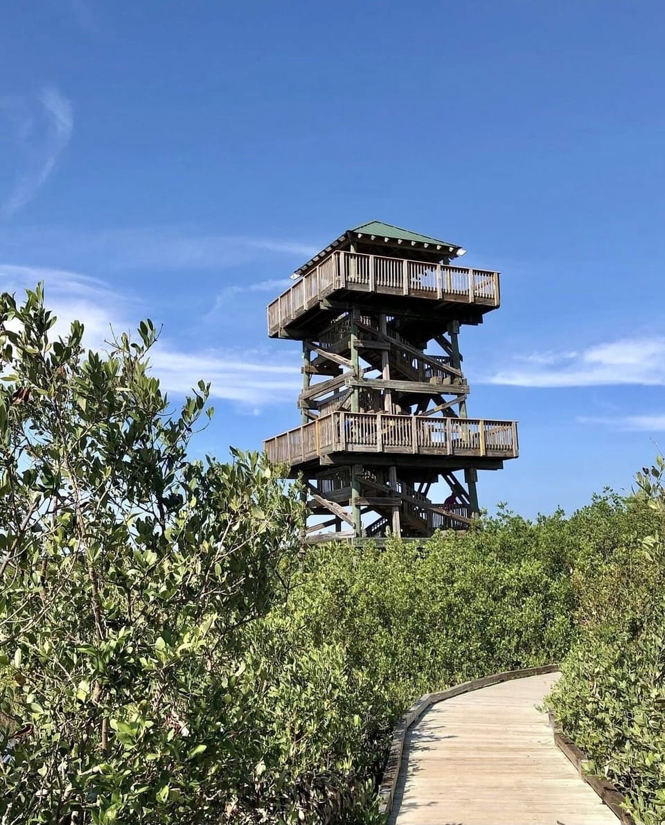 Look-out tower in the 682 acre Robinson Preserve just a couple of miles away!