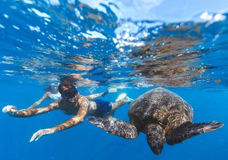 Vaima Studio - a modern Studio space just 12 steps to a stunning beach & lagoon!