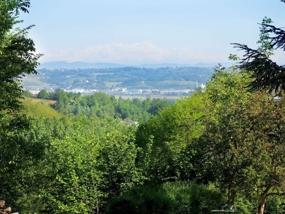 Vegetation, Nature, Natural Landscape, Tree, Natural Environment, Nature Reserve, Mountainous Landforms, Hill Station, Green, Tropical And Subtropical Coniferous Forests