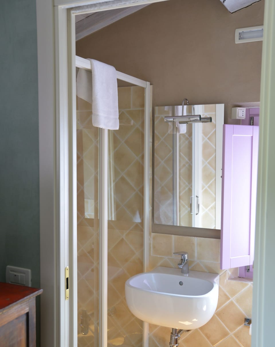 Shower, free toiletries, hair dryer, bidet