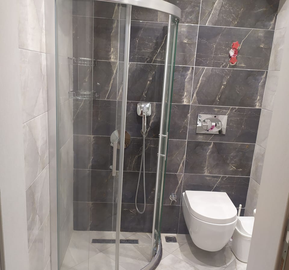 Combined shower/tub, free toiletries, hair dryer, towels
