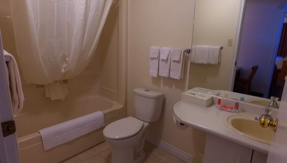 Bathtub, free toiletries, hair dryer, towels
