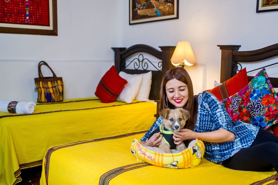 Pet-friendly