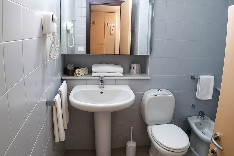 Hair dryer, bidet, towels, soap