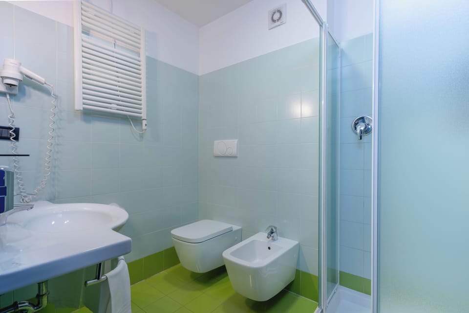 Shower, hair dryer, bidet, towels