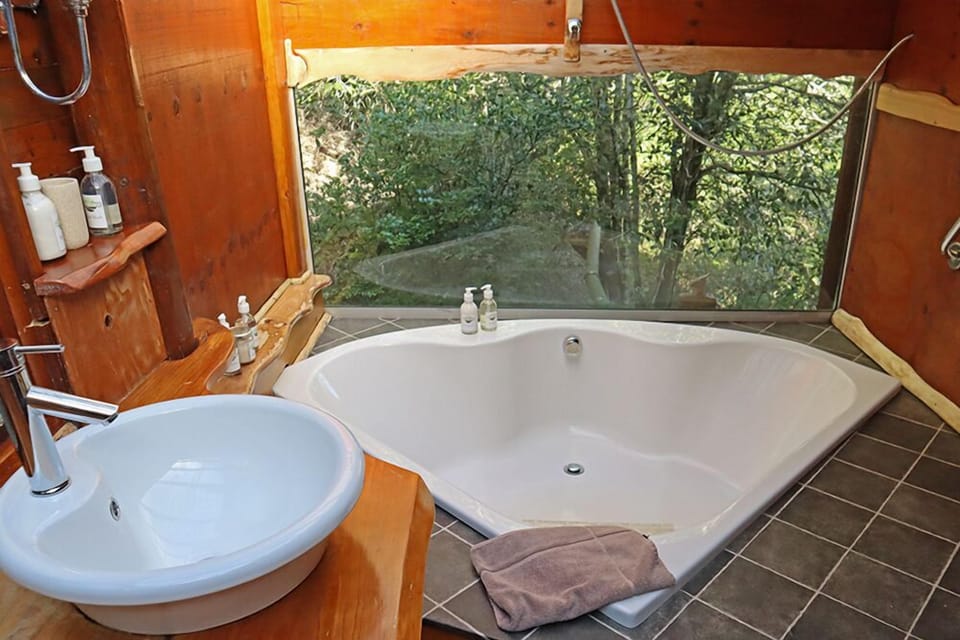 Teniqua Treetops Treehouse in Western Cape