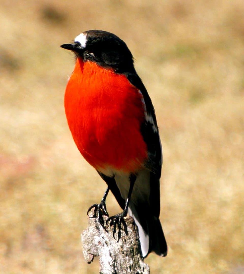 Land view from property