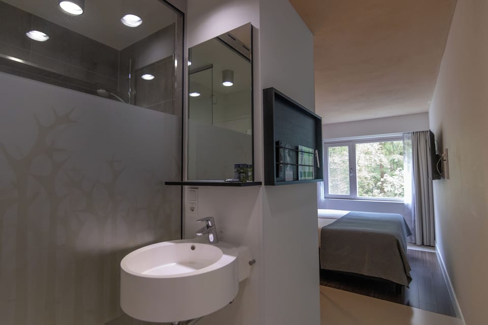 Standard Double Room | Bathroom | Free toiletries, hair dryer, towels