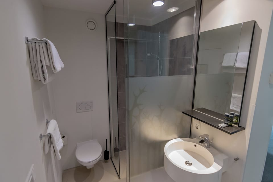 Comfort Double Room | Bathroom | Free toiletries, hair dryer, towels