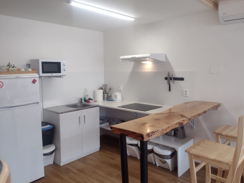 Comfort Suite (Sofie) | Private kitchenette | Fridge, microwave, freezer