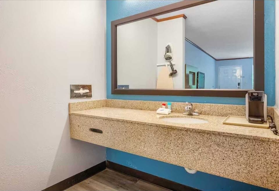 Room, 1 King Bed, Non Smoking | Bathroom | Eco-friendly toiletries, hair dryer, towels, shampoo