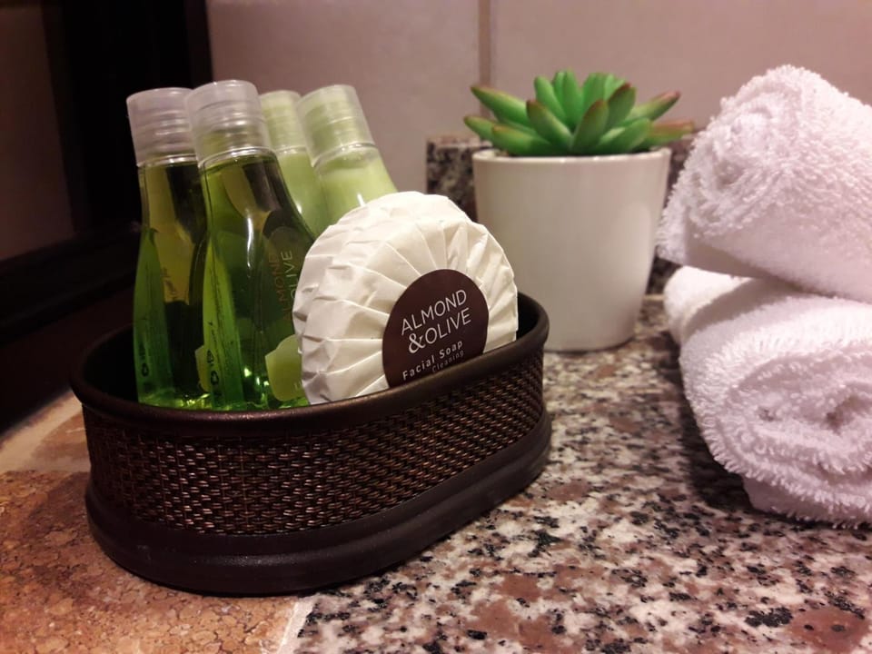 Shower, free toiletries, hair dryer, towels
