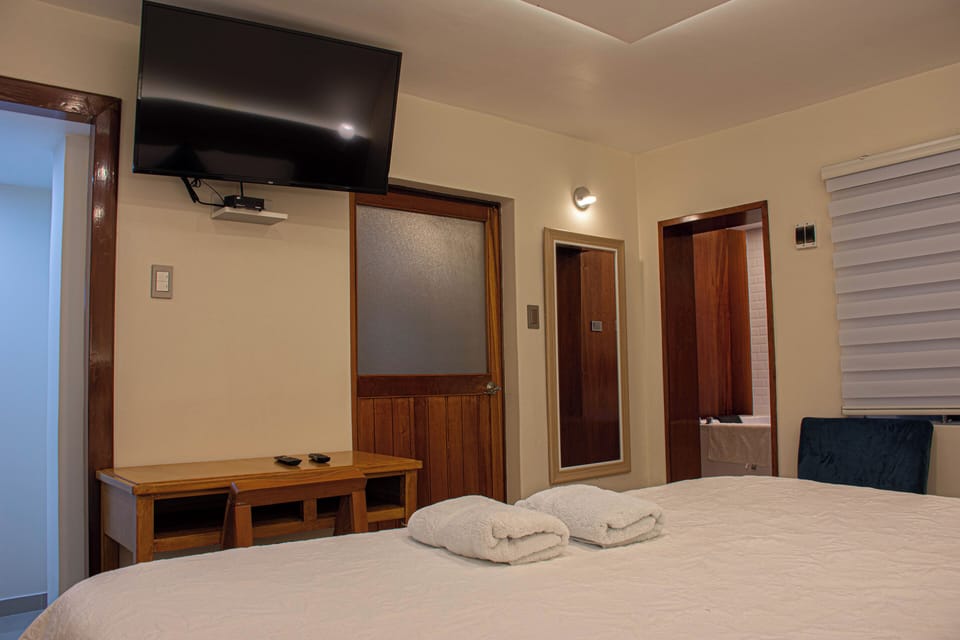 Elite Double Room | Down comforters, pillowtop beds, minibar, individually furnished